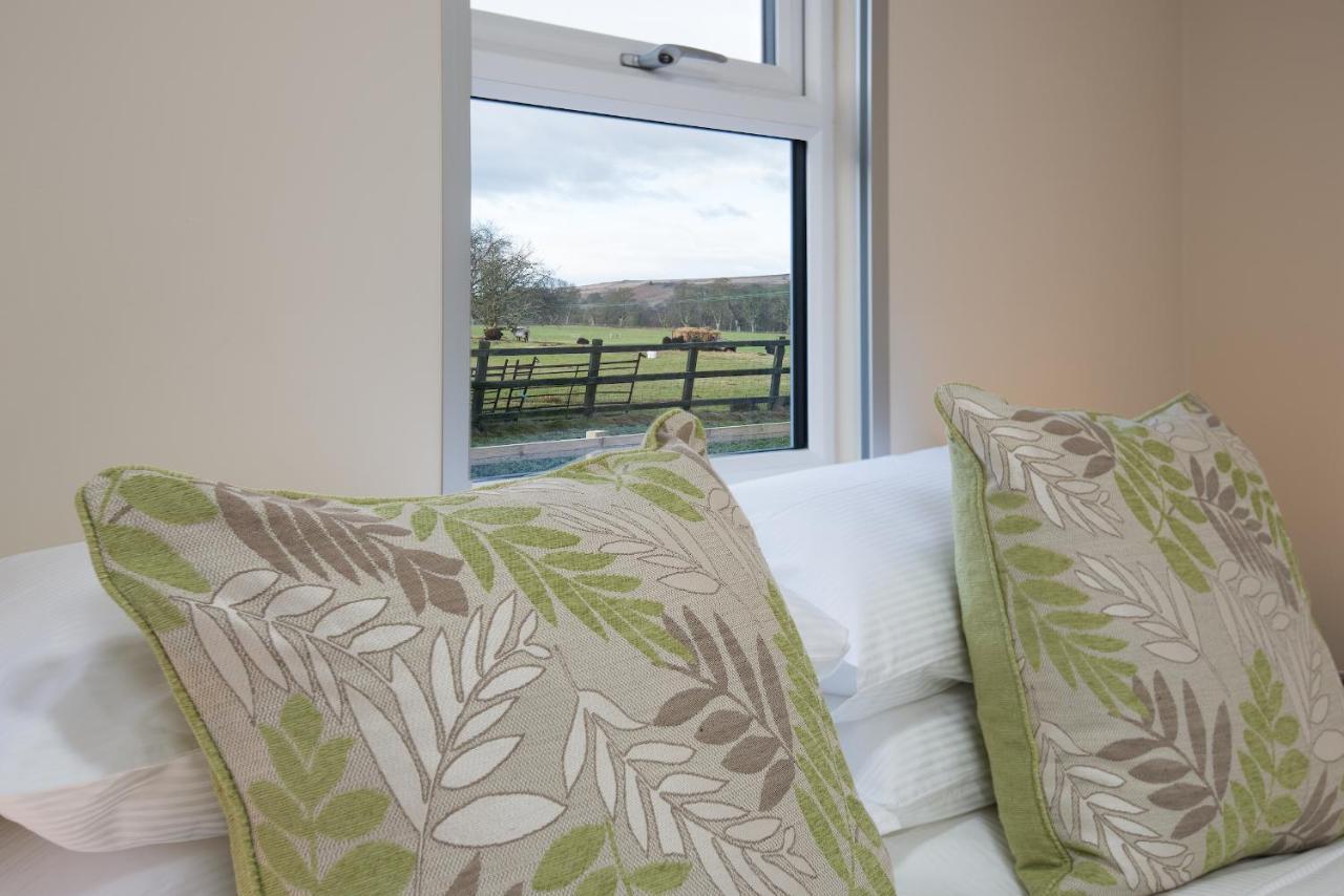 Brown Rigg Guest Rooms Bellingham Extérieur photo